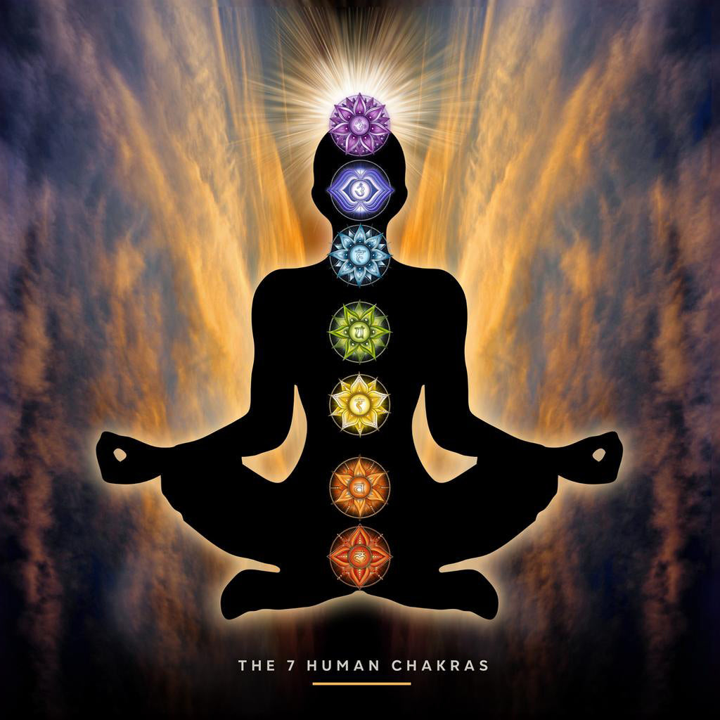 The 7 Chakras
